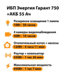 ИБП для котла Энергия Гарант 750 + Аккумулятор 55 Ач 12 В (450Вт - 67мин) - ИБП и АКБ - ИБП для котлов - . Магазин оборудования для автономного и резервного электропитания Ekosolar.ru в Петропавловске-камчатском