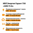 ИБП для котла Энергия Гарант 750 + Аккумулятор 75 Ач 12 В (450Вт - 91мин) - ИБП и АКБ - ИБП для котлов - . Магазин оборудования для автономного и резервного электропитания Ekosolar.ru в Петропавловске-камчатском